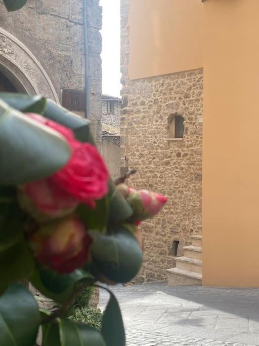 Il Nido Dell'Arte Διαμέρισμα Anagni Εξωτερικό φωτογραφία